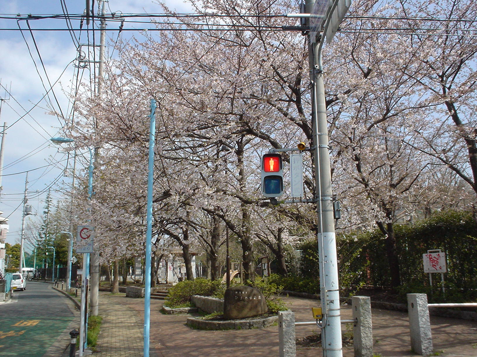 永福南小への道の桜
