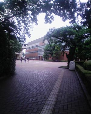 日本大学文理学部資料館