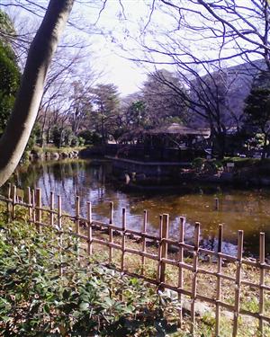 東京競馬場の池