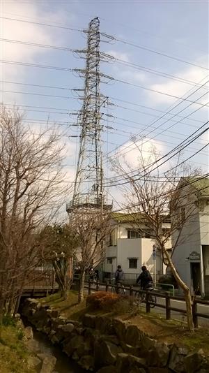 千川上水と送電鉄塔