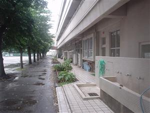 西東京市郷土資料室